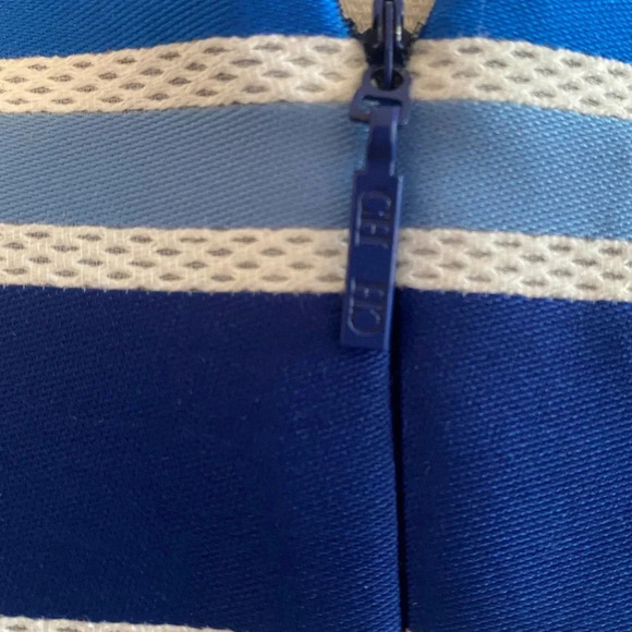 Carolina Herrera Silk Pleated Sleeveless Striped Fit and Flare Dress Size 4 NWOT - Picture 9 of 11